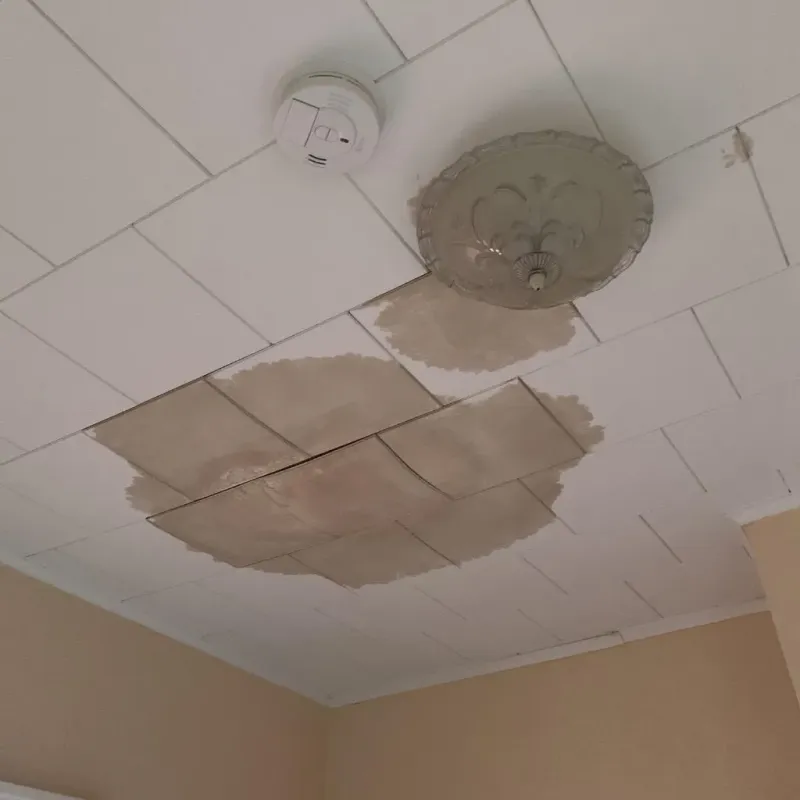 Ceiling Water Damage Repair in Caledonia, MS